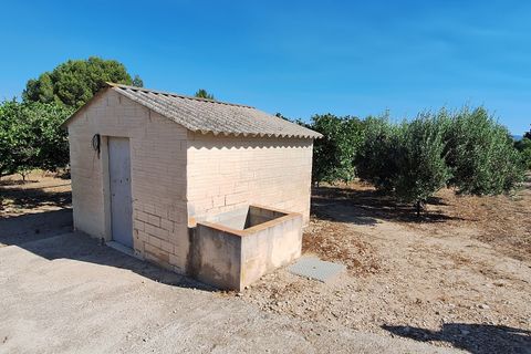 Finca i Ginestar, Tarragona, Ginestar - € 7 000 | Ref: CC846 - foto 8